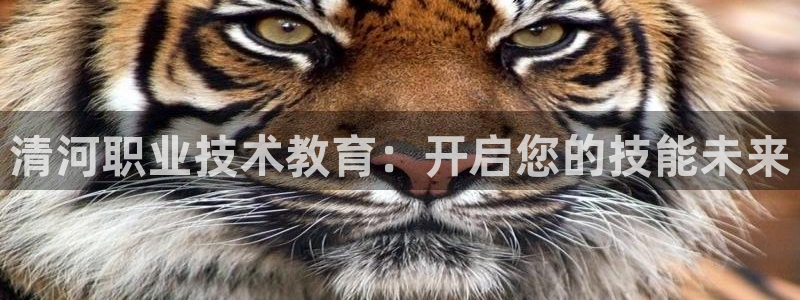 ag九游会j9登录入口旧版|清河职业技术教育：开启您的技能未来