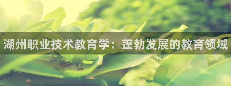 j9九游会-真人游戏第一品牌|湖州职业技术教育学：蓬勃发展的教育领域