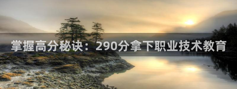 J9数字站|掌握高分秘诀：290分拿下职业技术教育