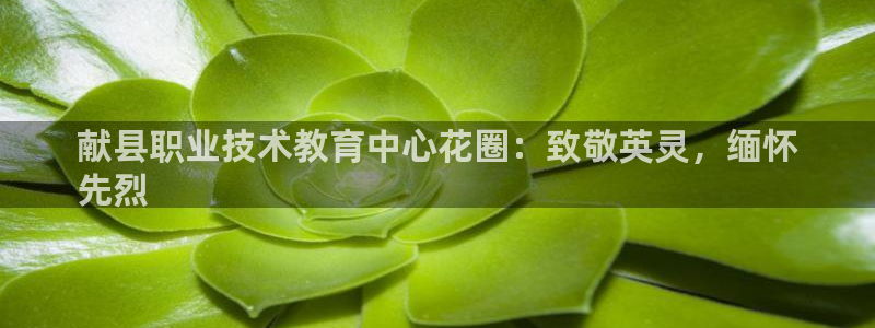 j9·九游会游戏中国官方网站