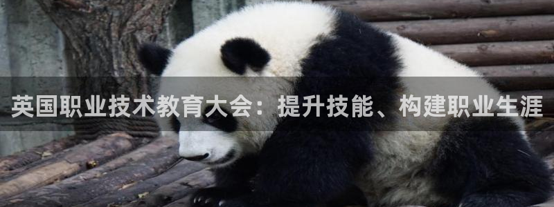 j9九游国际真人|英国职业技术教育大会：提升技能、构建职业生涯
