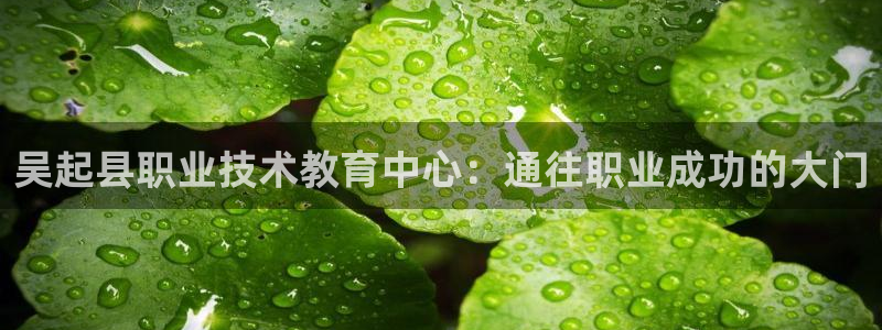 九游会老哥必备的交流社区|吴起县职业技术教育中心：通往职业成功的大门